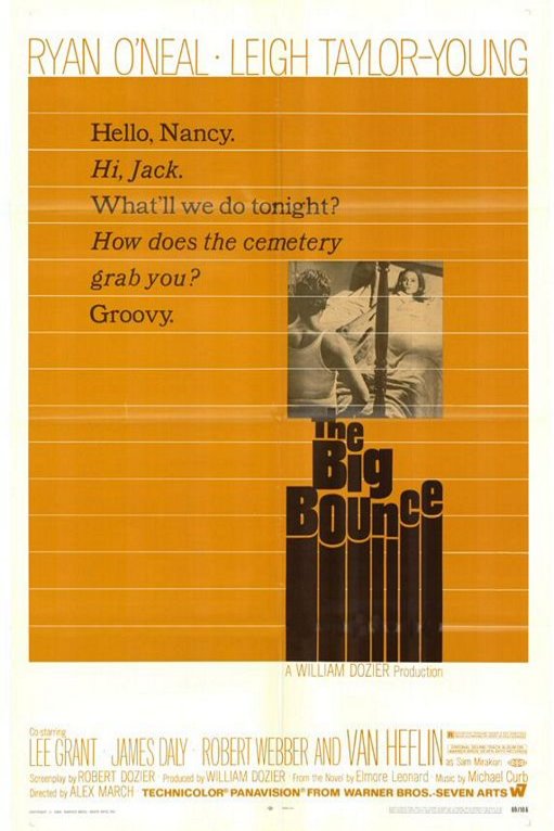 Poster of the movie The Big Bounce