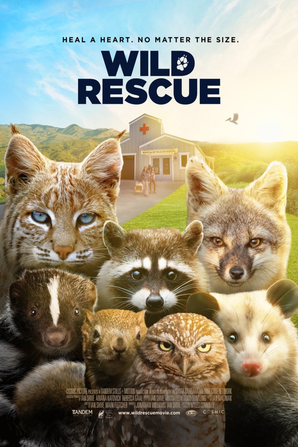 Poster of the movie Wild Rescue