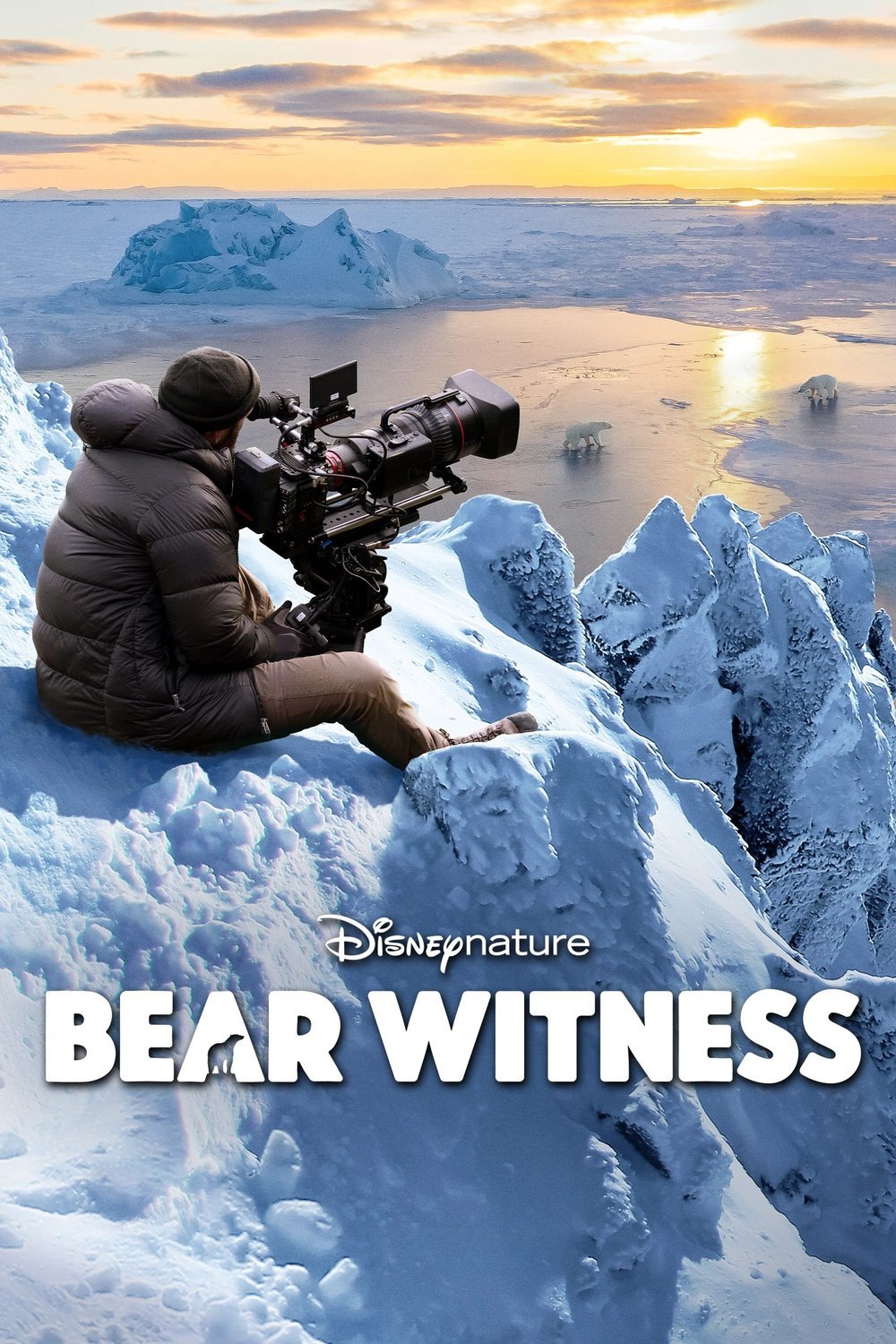 Poster of the movie Bear Witness [2022]