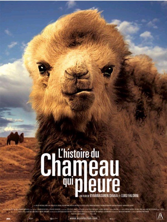 Mongolian poster of the movie Die Geschichte vom weinenden Kamel