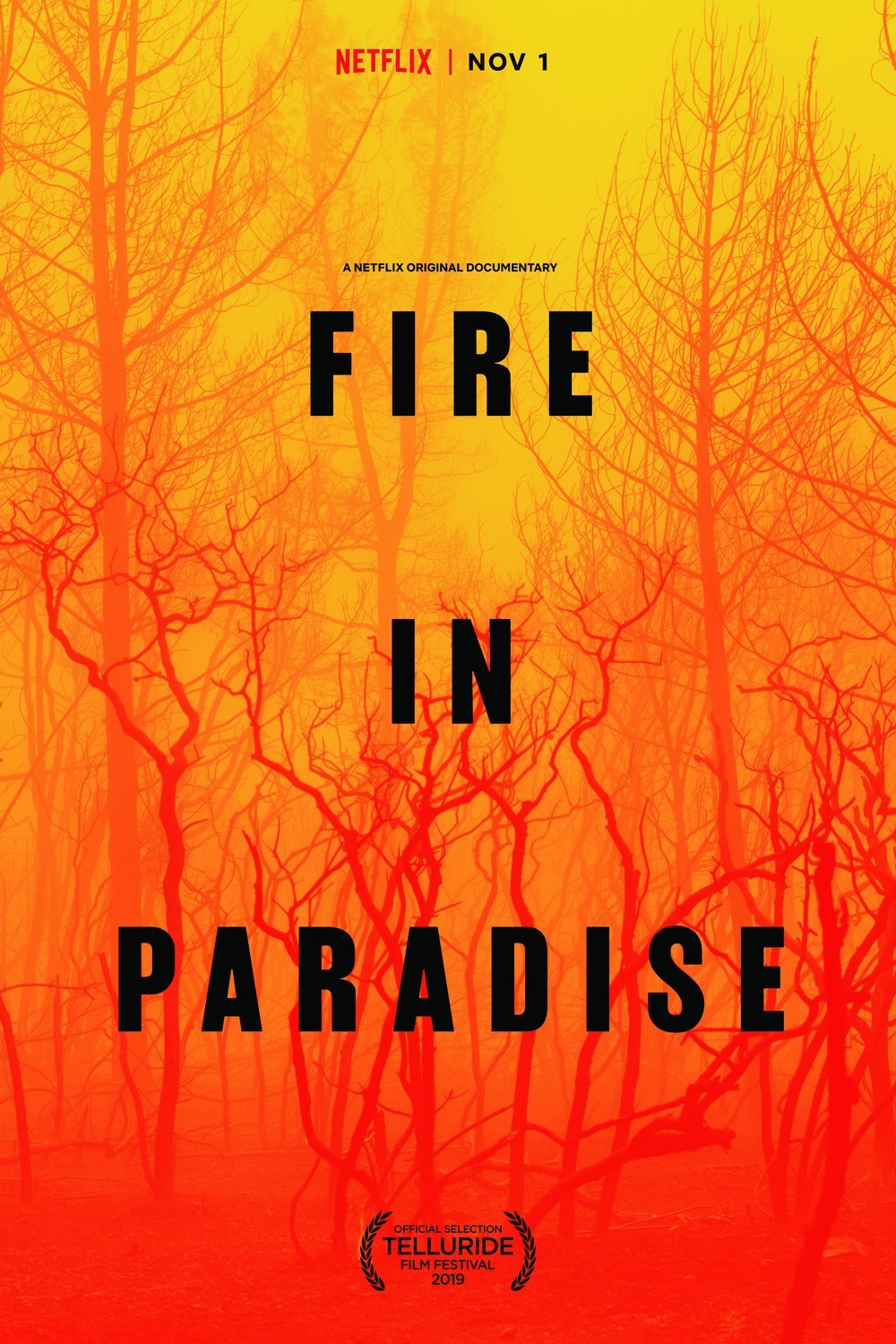 L'affiche du film Fire in Paradise