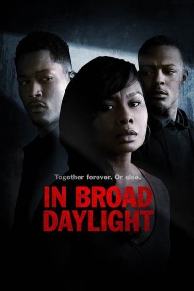 Poster of the movie In Broad Daylight [2019]