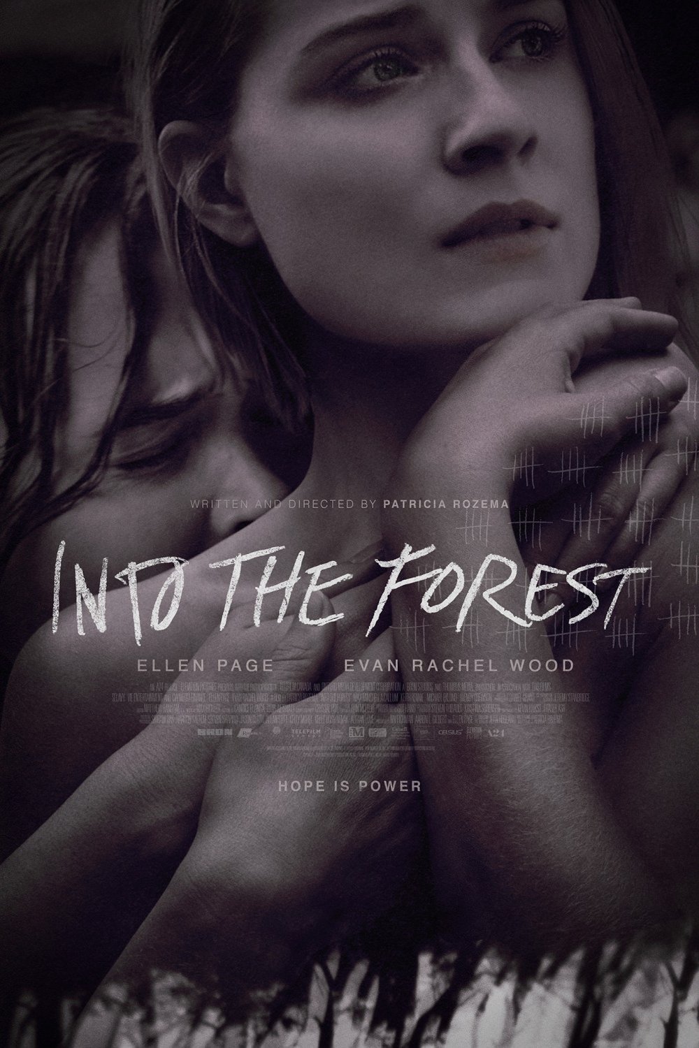 L'affiche du film Into the Forest