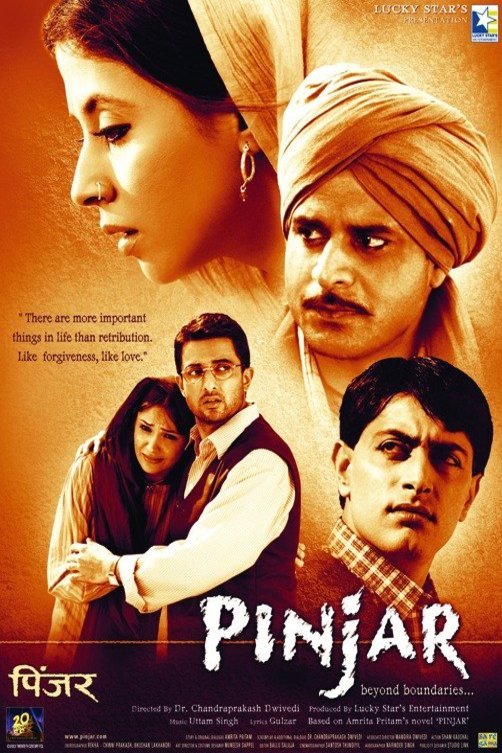 Hindi poster of the movie Pinjar: Beyond Boundaries...
