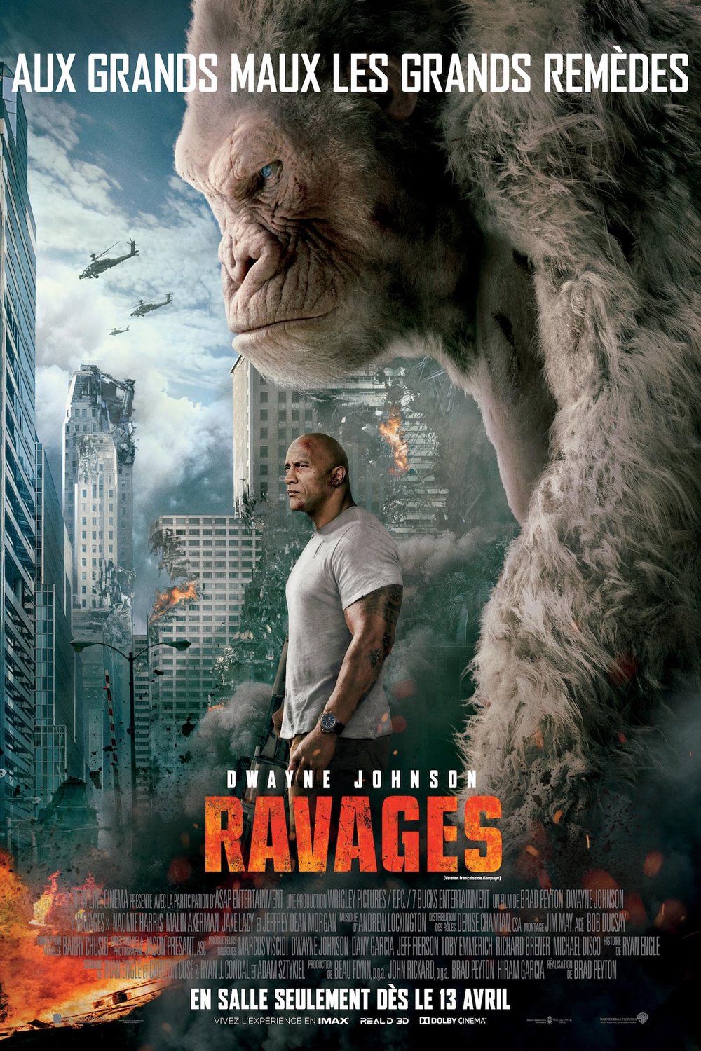 L'affiche du film Ravages v.f.