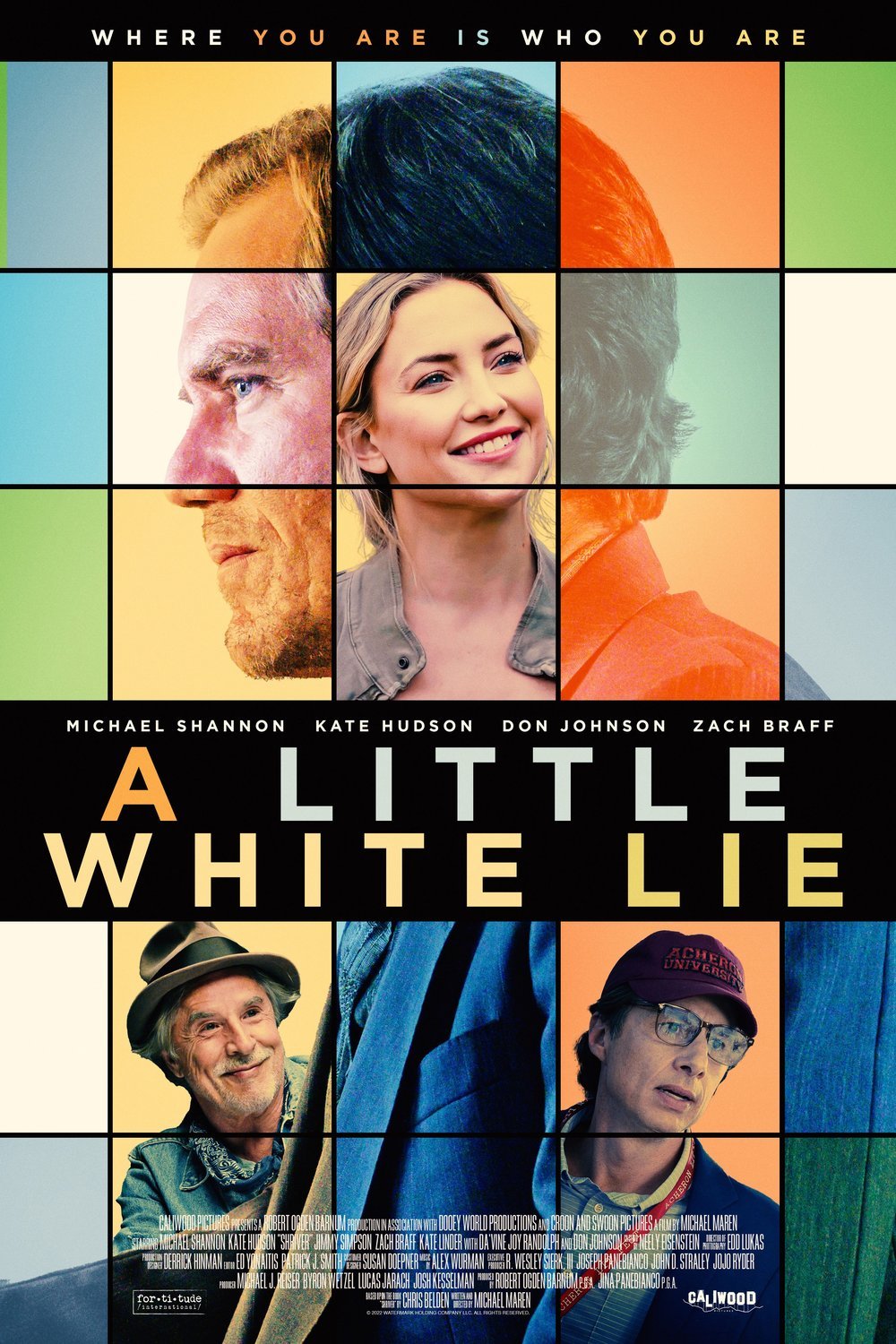 Poster of the movie A Little White Lie
