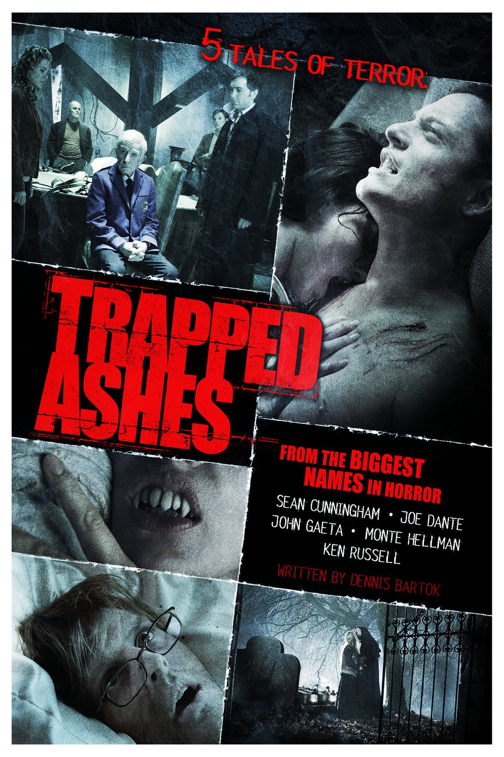 Poster of the movie Trapped Ashes