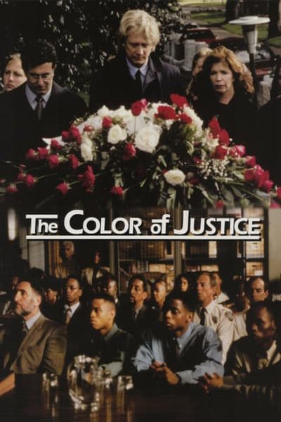 L'affiche du film Color of Justice