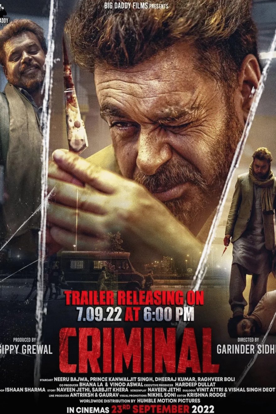 Punjabi poster of the movie Criminal