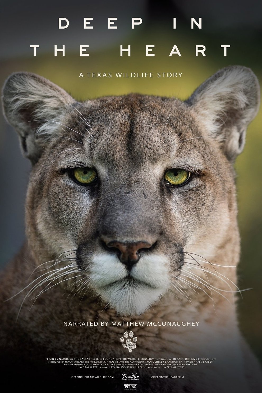 L'affiche du film Deep in the Heart: A Texas Wildlife Story [2022]