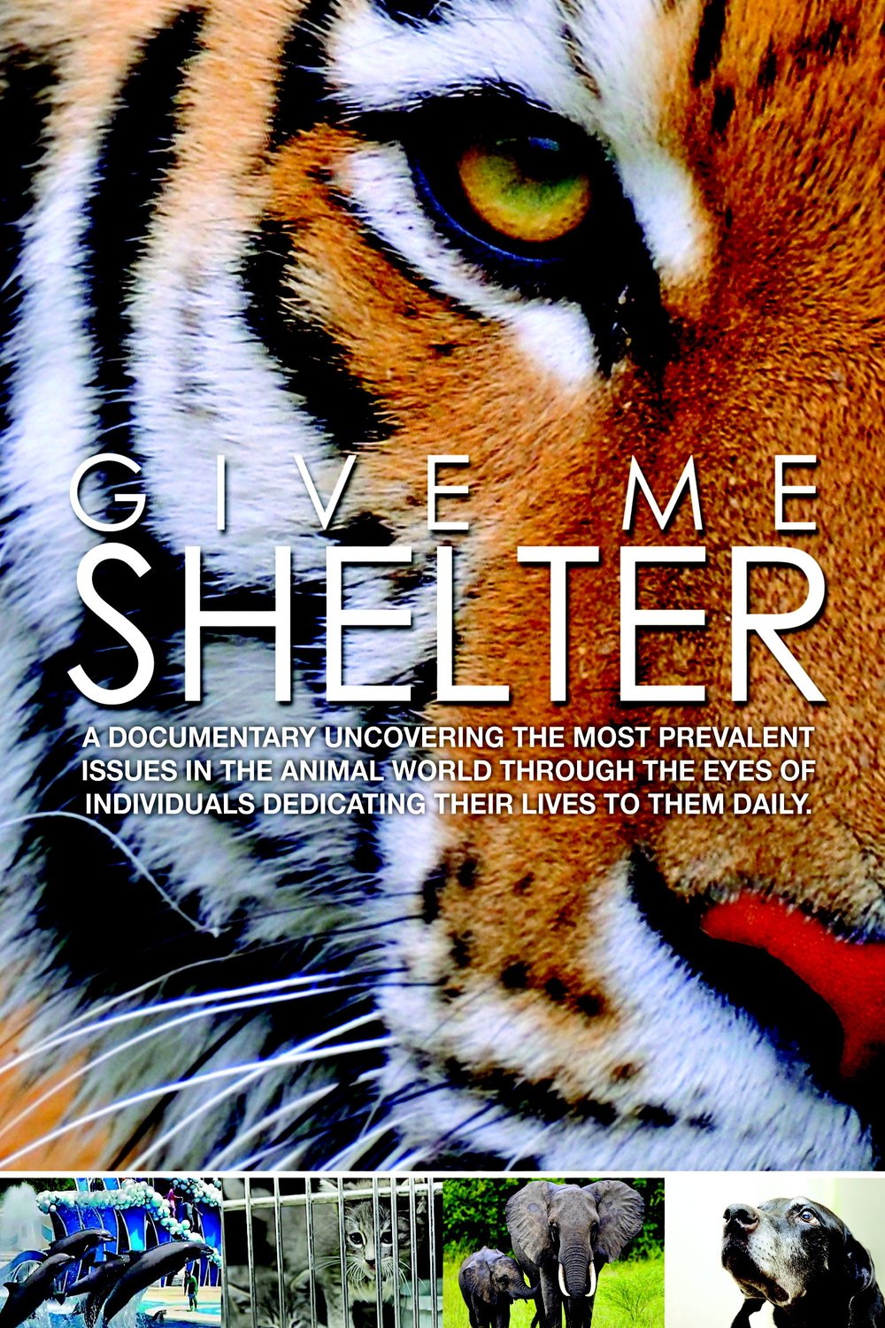 L'affiche du film Give Me Shelter