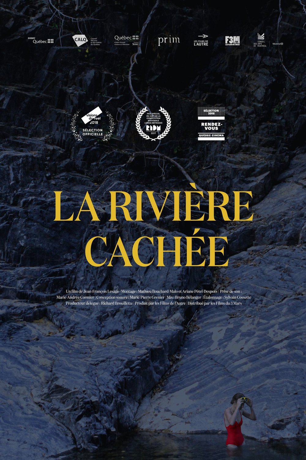 Poster of the movie La Rivière cachée