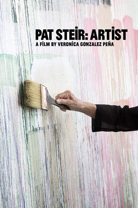 L'affiche du film Pat Steir: Artist