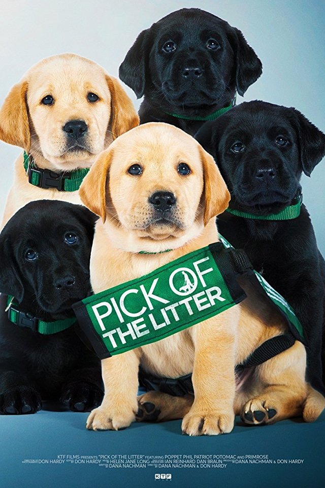 Poster of the movie Pick of the Litter
