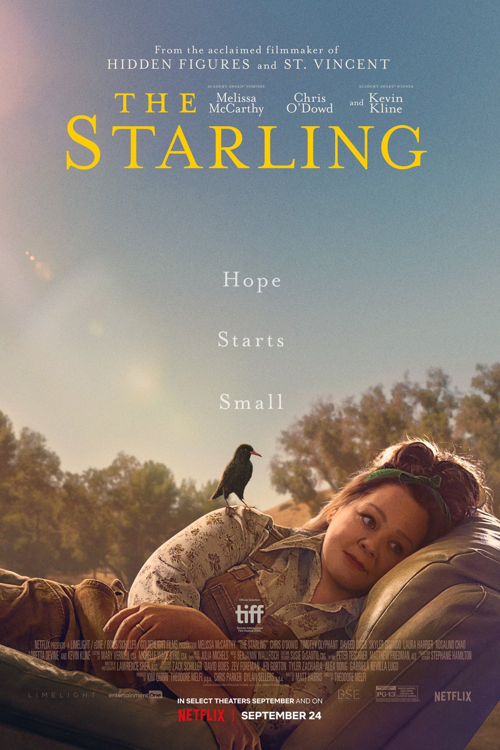 Poster of the movie The Starling