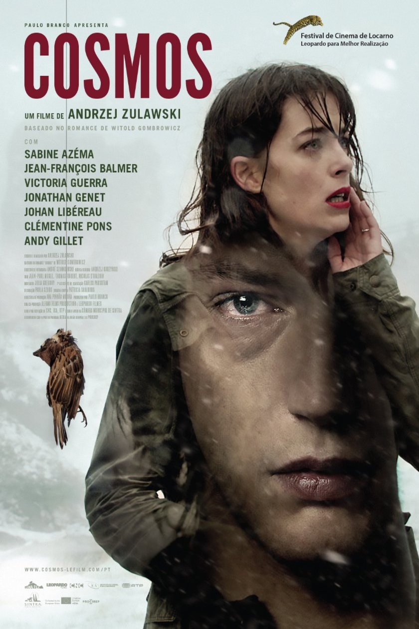 L'affiche du film Cosmos