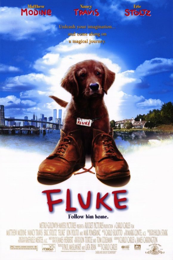 L'affiche du film Fluke