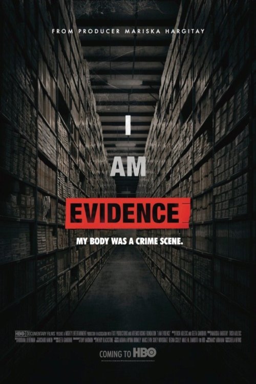 Poster of the movie I Am Evidence
