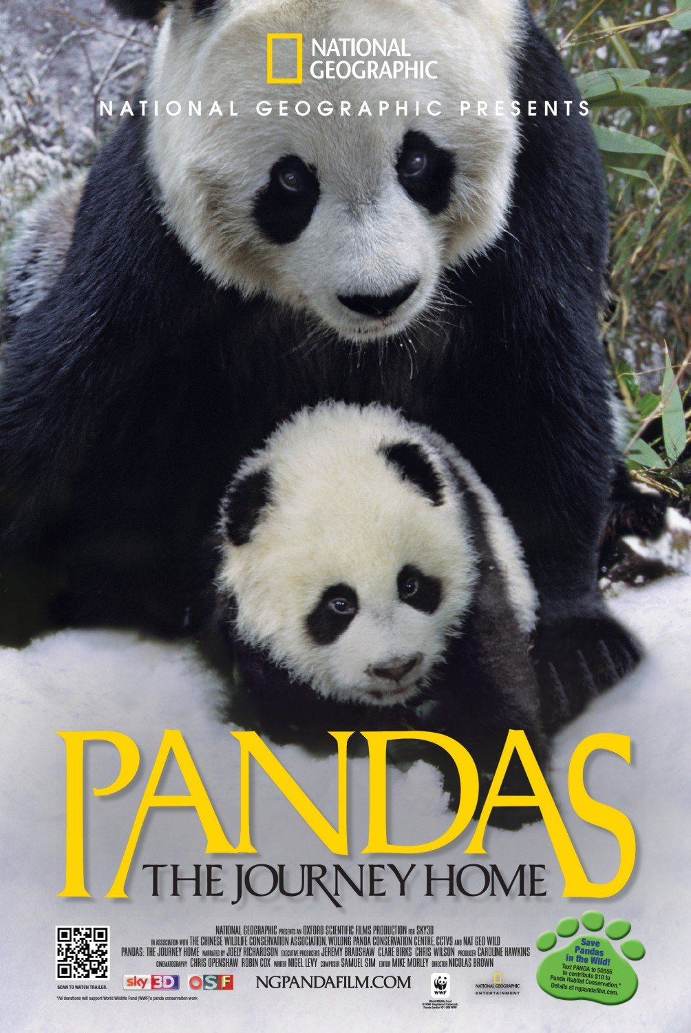 Poster of the movie Pandas: retour à la nature