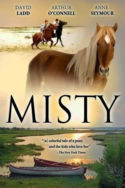 Poster of the movie Misty