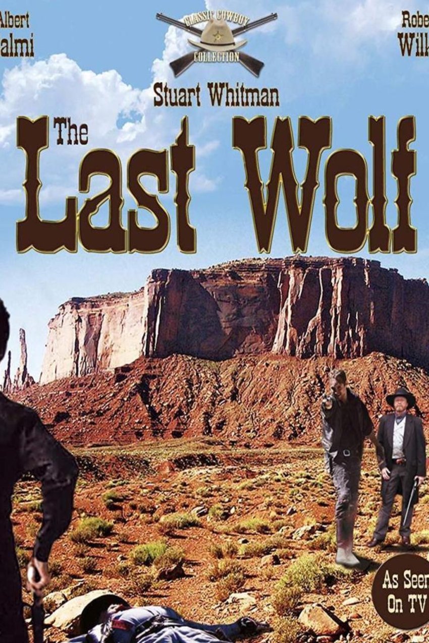 L'affiche du film Cimarron Strip: The Last Wolf