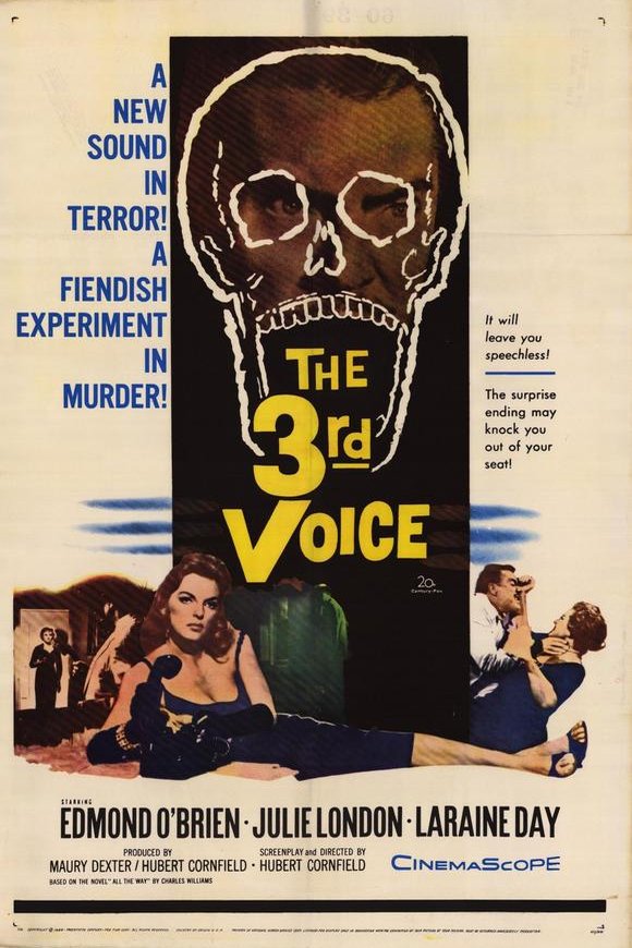 L'affiche du film The Third Voice