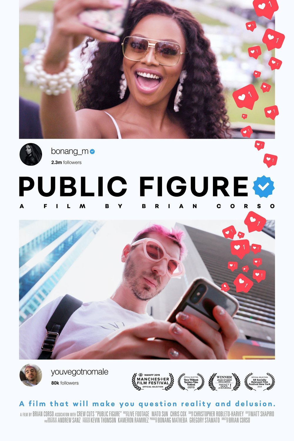 Poster of the movie Public Figure