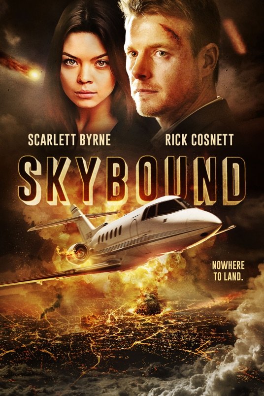 L'affiche du film Skybound