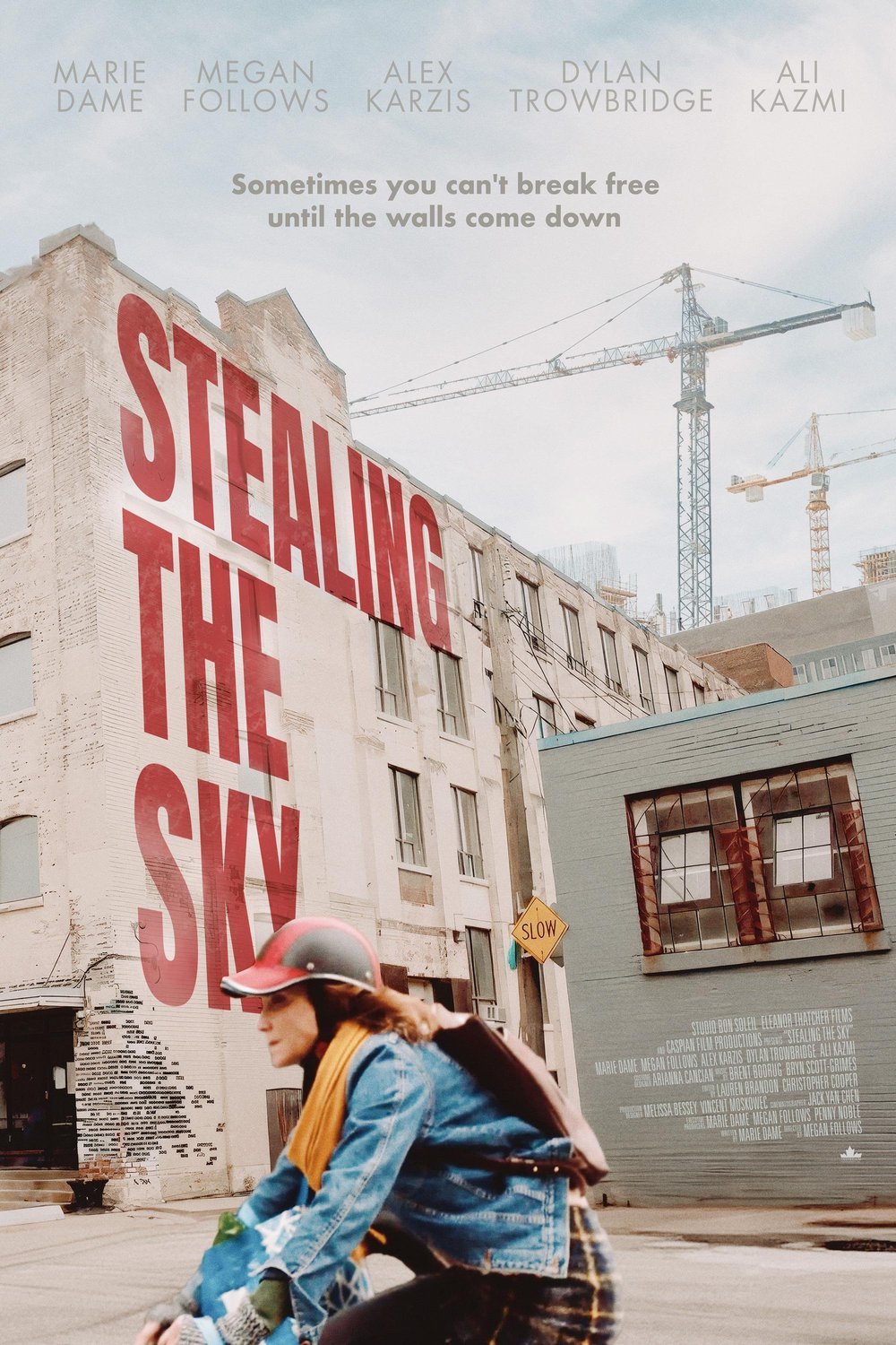 Poster of the movie Stealing the Sky