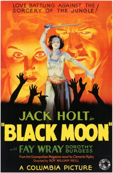 L'affiche du film Black Moon