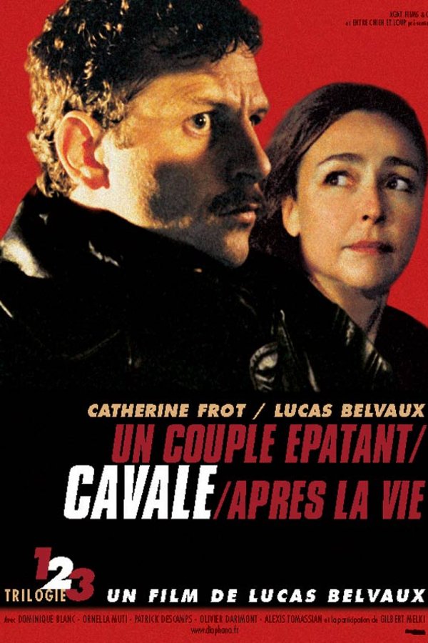 L'affiche du film Cavale