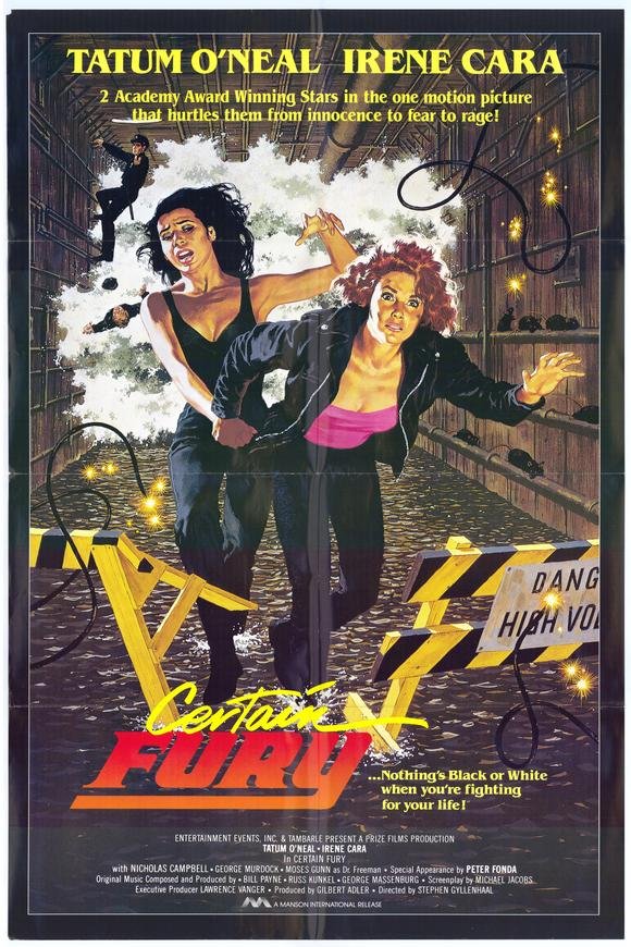 L'affiche du film Certain Fury