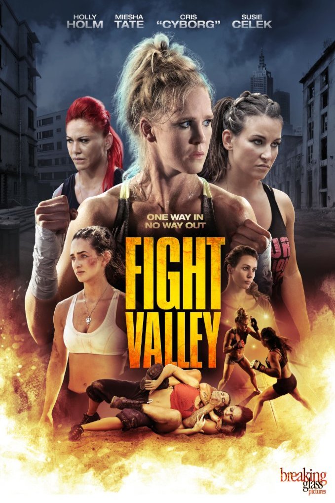 L'affiche du film Fight Valley