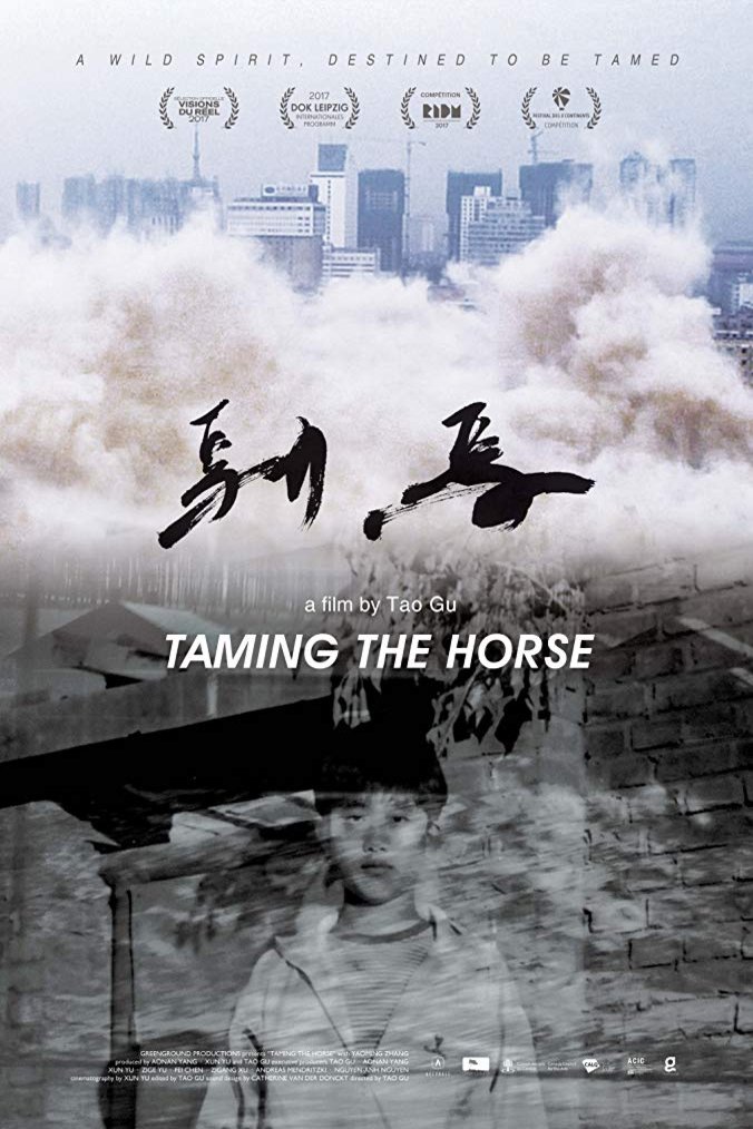 L'affiche originale du film Comme un cheval fou en Chinois