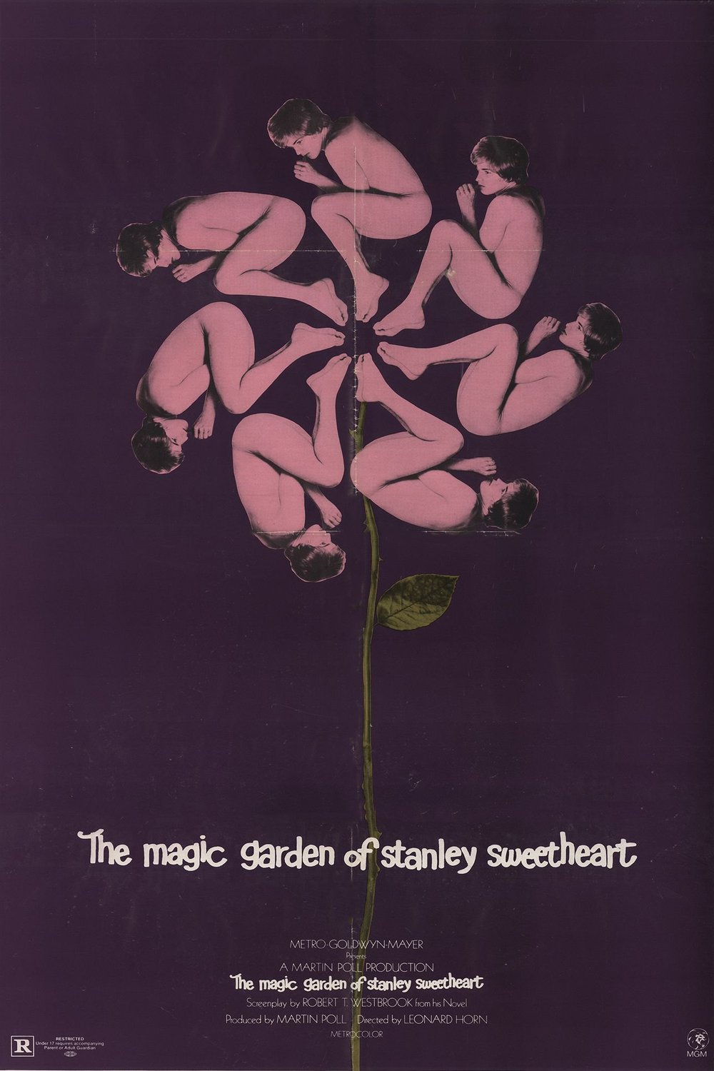 L'affiche du film The Magic Garden of Stanley Sweetheart