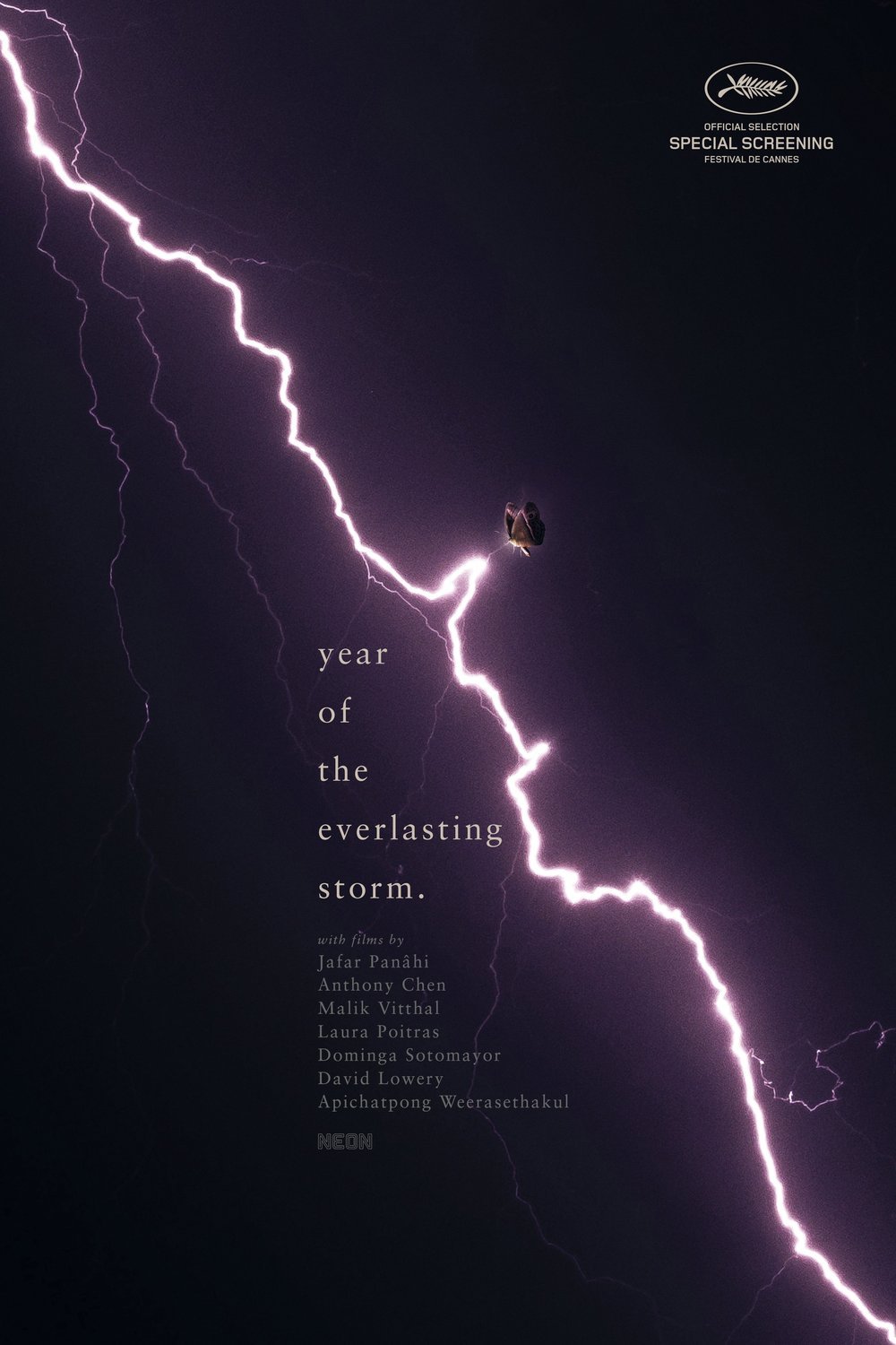 Poster of the movie The Year of the Everlasting Storm