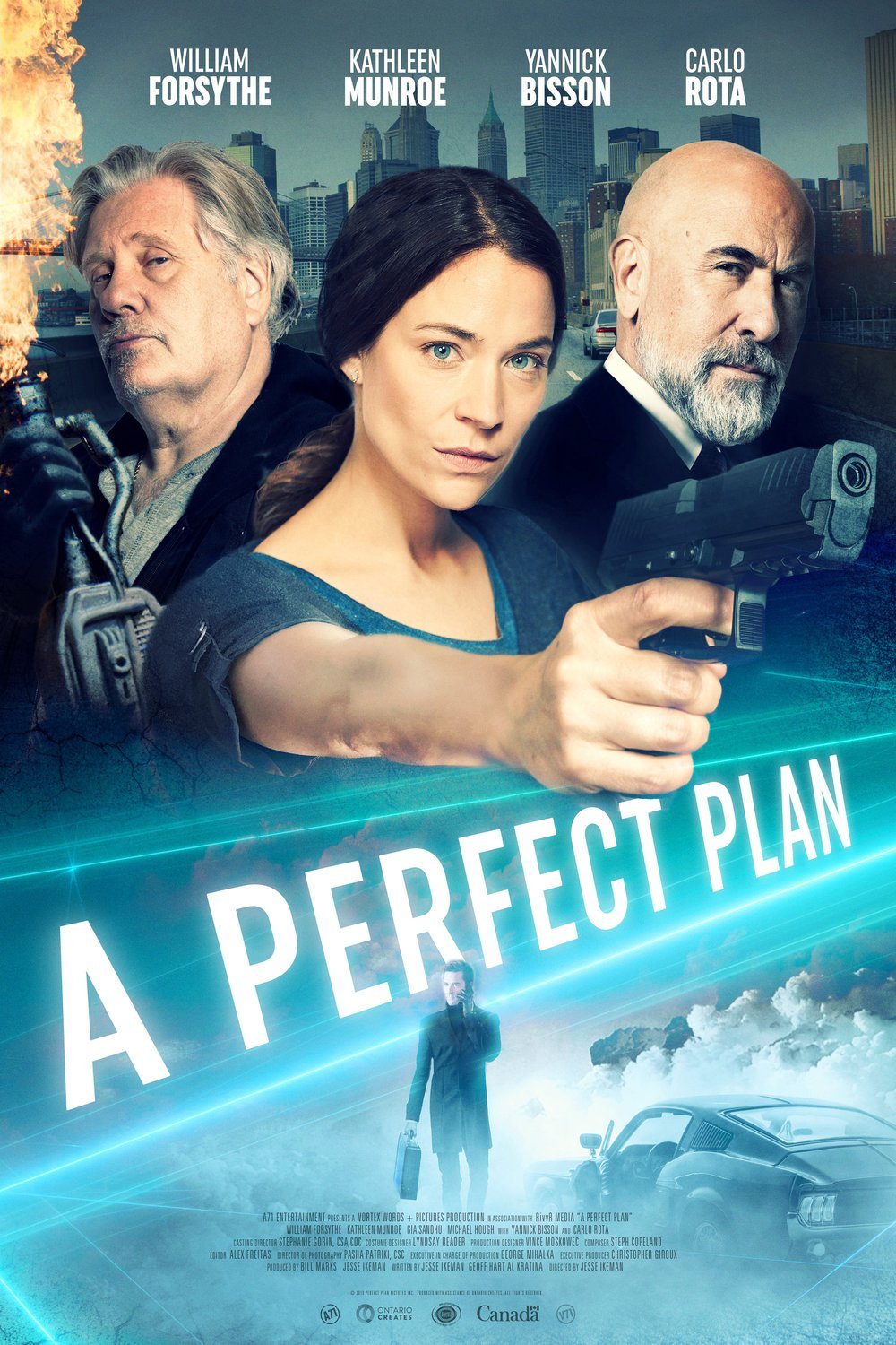 L'affiche du film A Perfect Plan [2020]