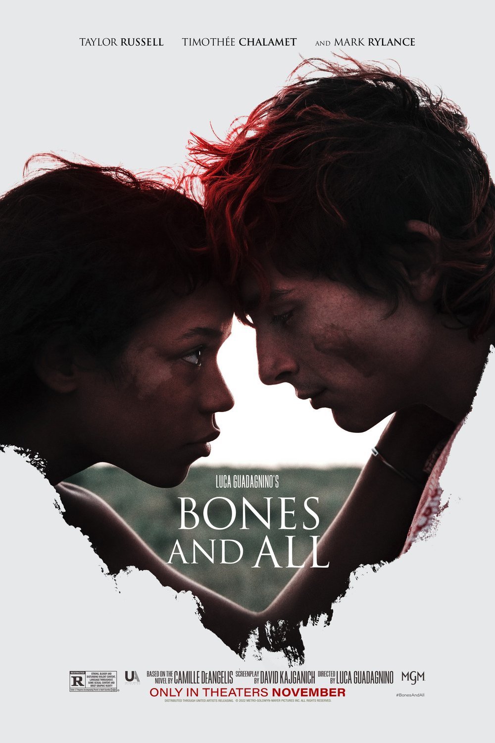 Poster of the movie Bones and All v.f.