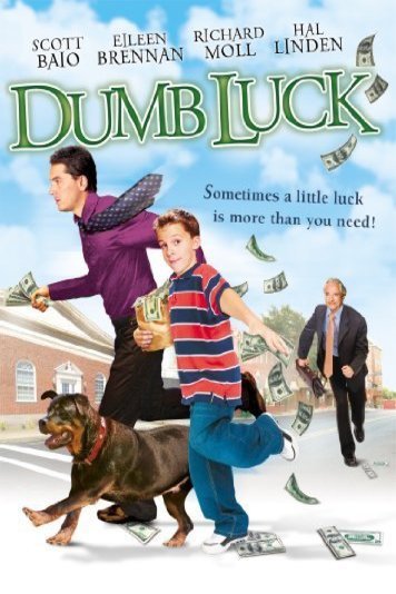 L'affiche du film Dumb Luck