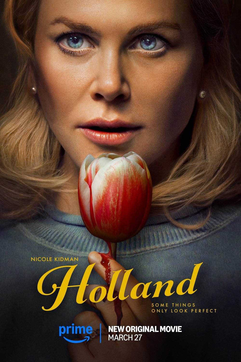 L'affiche du film Holland