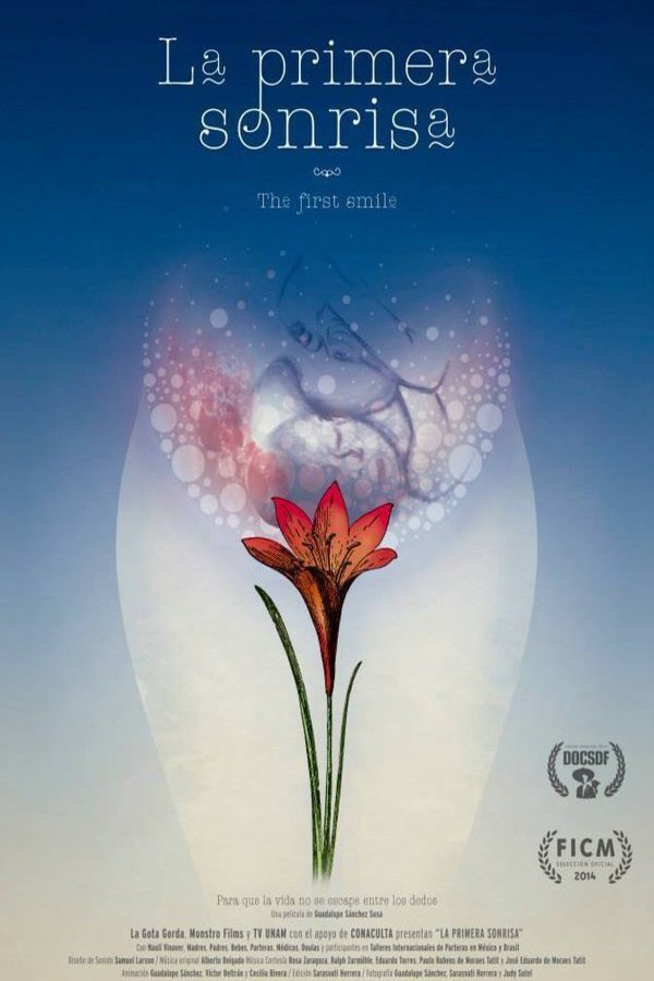 L'affiche du film La primera sonrisa [2014]