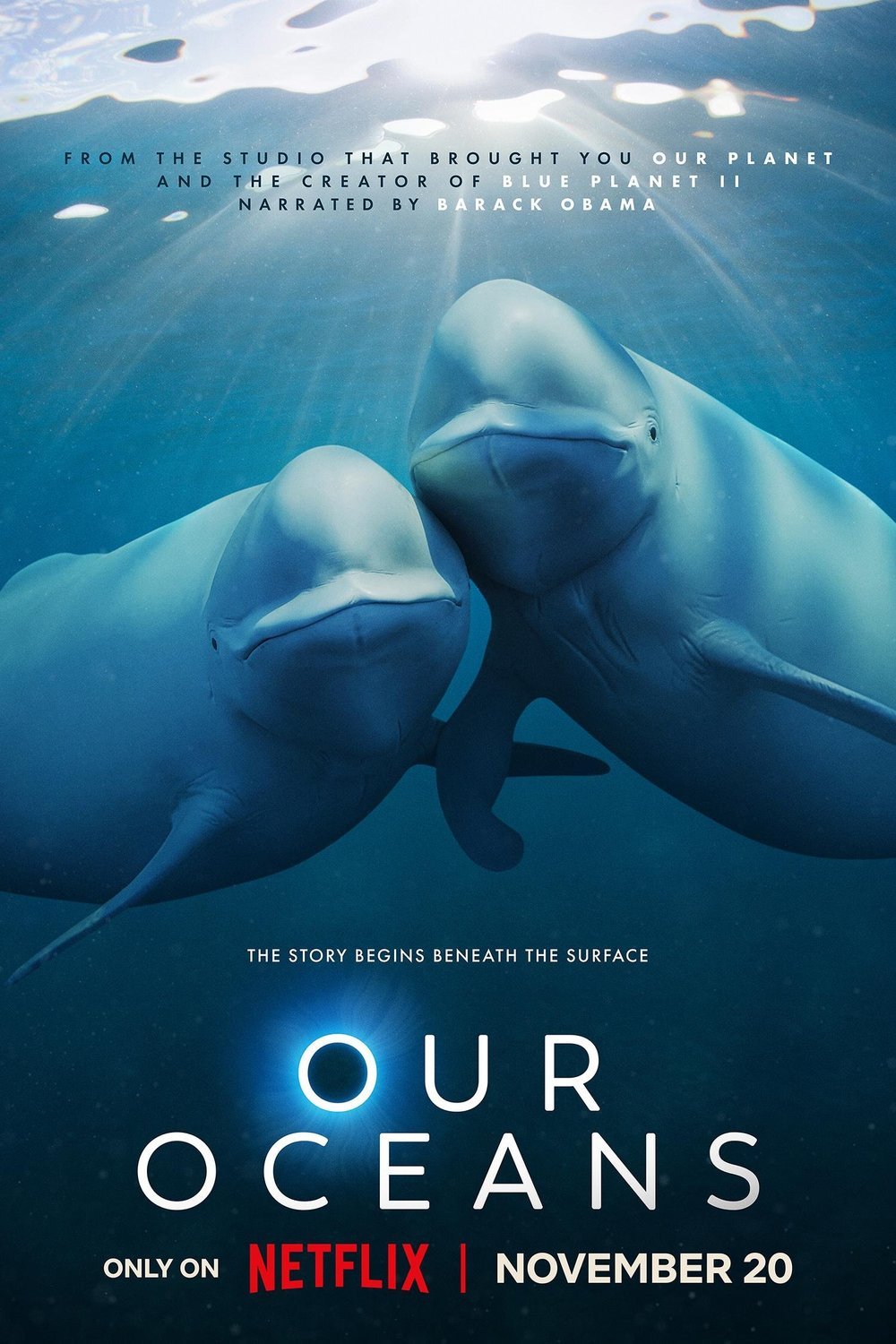 L'affiche du film Our Oceans [2024]