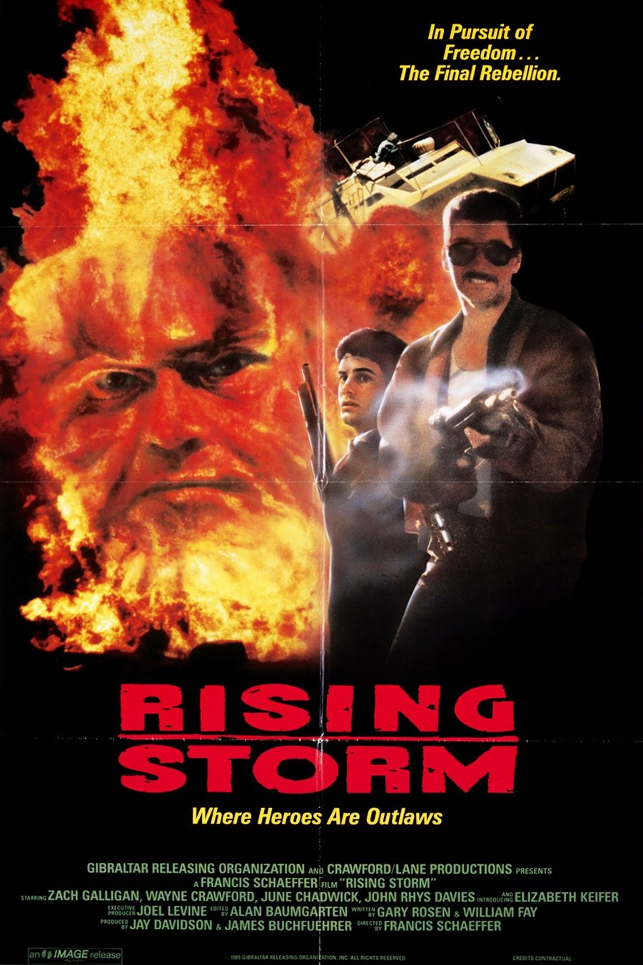 L'affiche du film Rising Storm