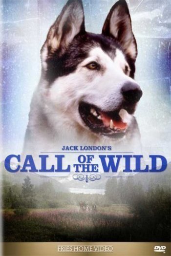 L'affiche du film Call of the Wild