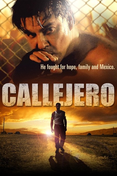 Poster of the movie Callejero