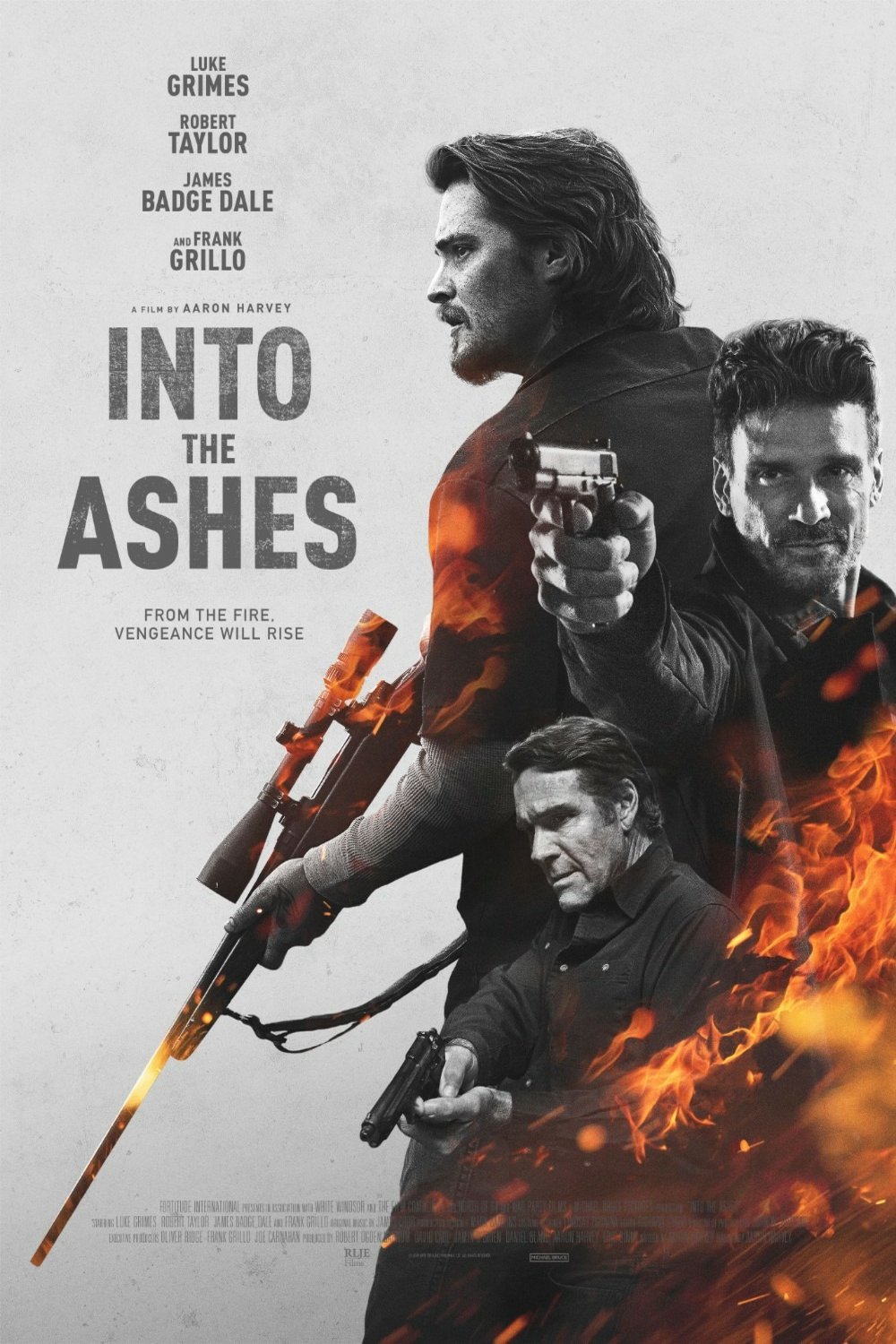 L'affiche du film Into the Ashes