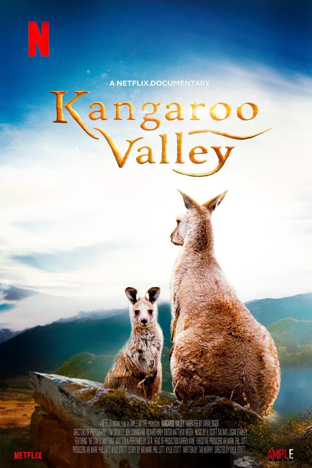 L'affiche du film Kangaroo Valley