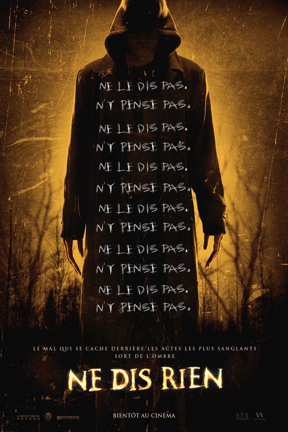 Poster of the movie Ne dis rien