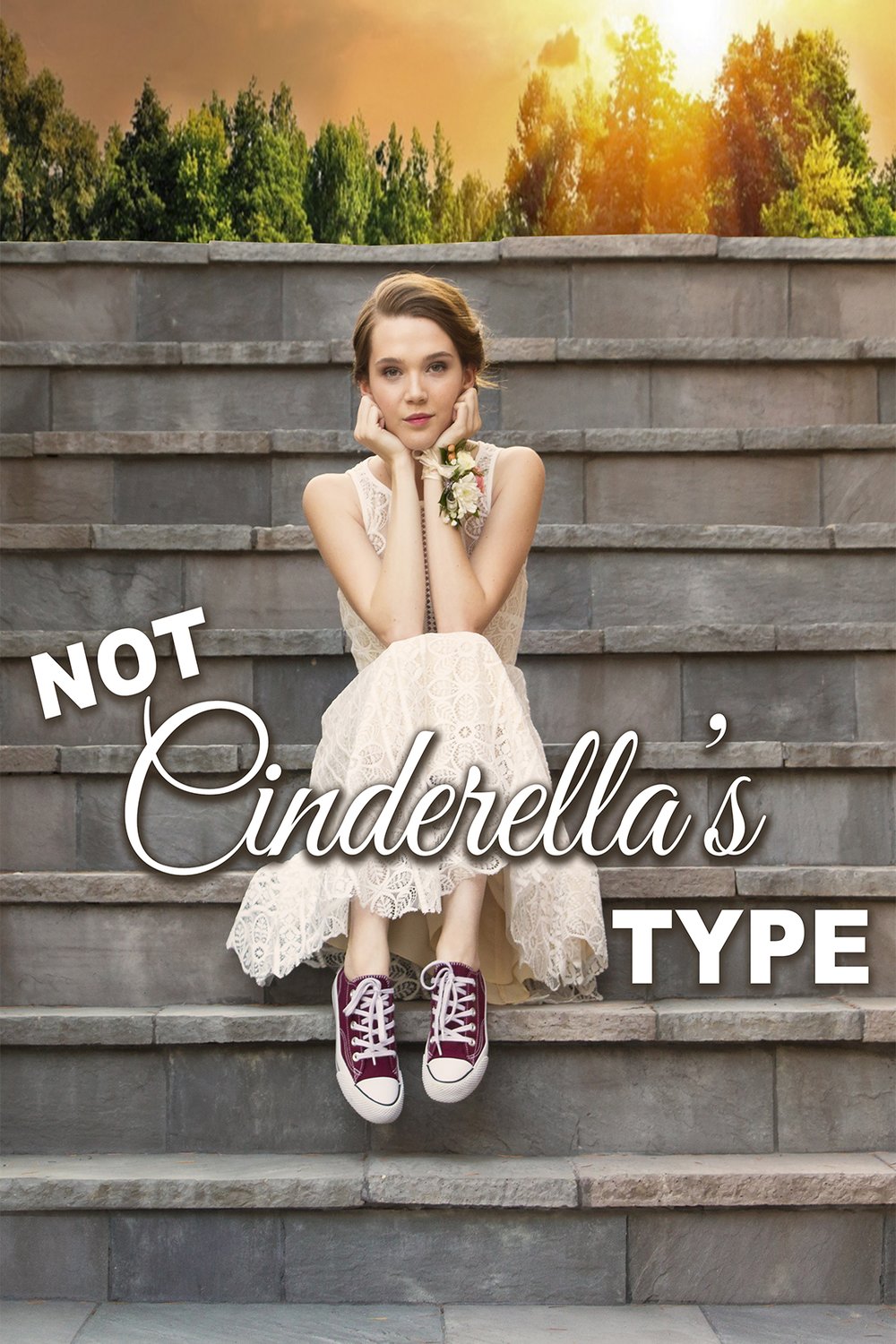 L'affiche du film Not Cinderella's Type