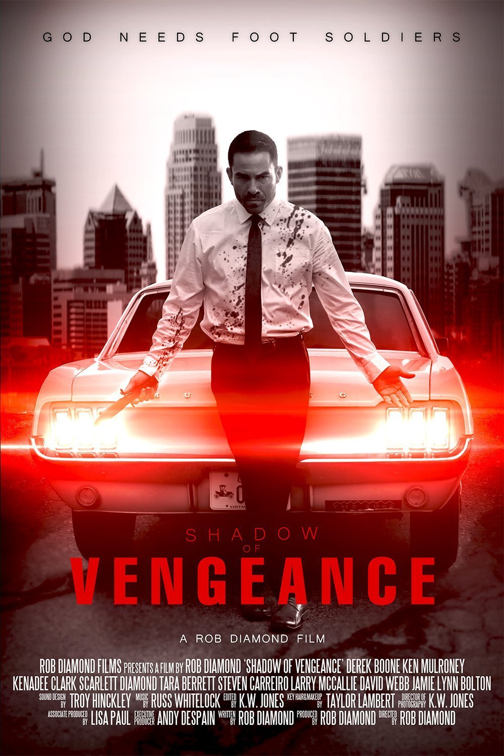 Poster of the movie Shadow of Vengeance [2024]